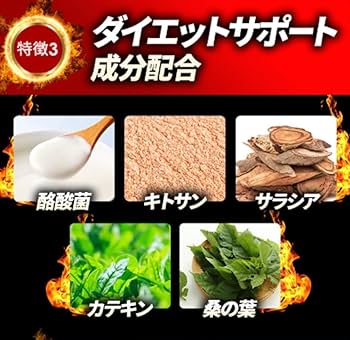 Amazon | モヤセル乳酸菌 60粒30日 2粒に乳酸菌100億個 生きて腸